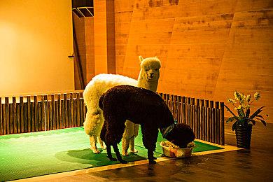 《如龙7》Steam国区价格永降 标准版从389元降至109元